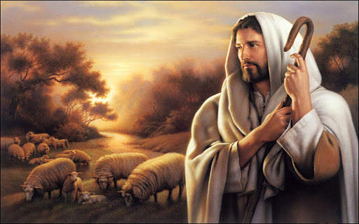 Faith App - Sri Lanka screenshot 12