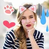 Lovely Cat Face for Snapchat