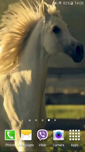Horse 4K Video Live Wallpaper screenshot 3