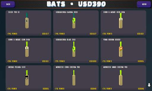 Cricket Heroes screenshot 5