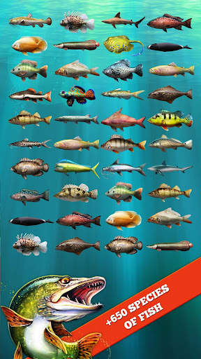 Let's Fish: Fishing Simulator screenshot 14