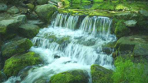 Green Stream HD Video Free screenshot 1