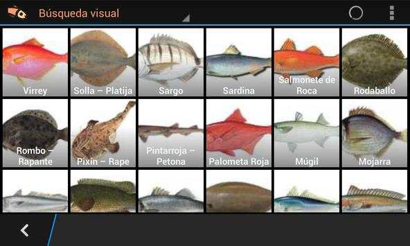 Pescar en Asturias Lite screenshot 12
