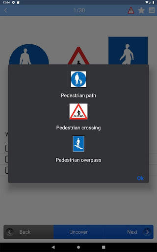 Driving school theory screenshot 10