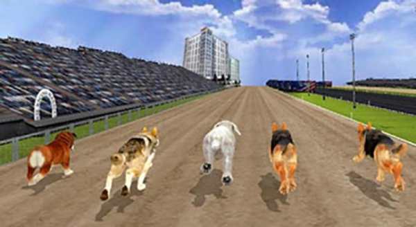 Angry Dogs Racing 2019 screenshot 1