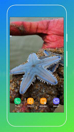 Starfish Wallpaper screenshot 7