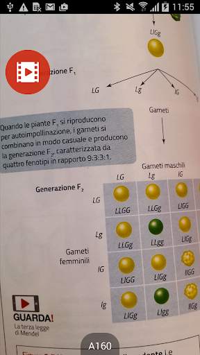 Guarda! скриншот 5