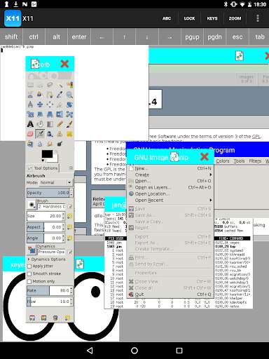 Mocha X11 Lite screenshot 2