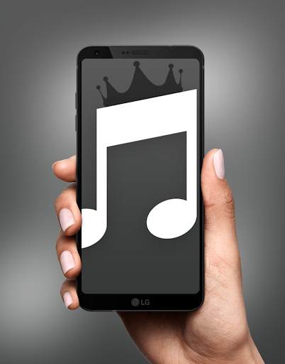 MP3 indirme programi скриншот 1