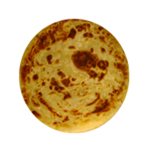 ikon Aliens vs Chapatis