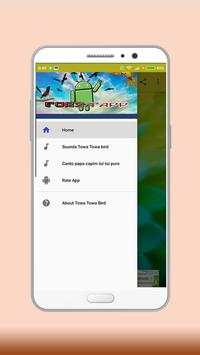 Towa Towa Bird screenshot 1