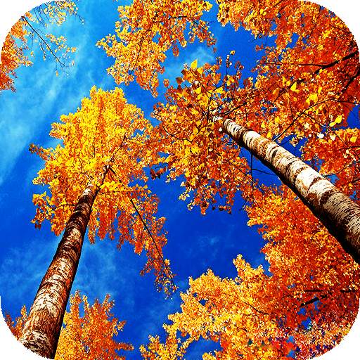 Autumn Live Wallpaper (wallpapers & backgrounds) 16.0