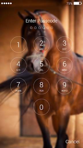 Horse Lock Screen 2 تصوير الشاشة