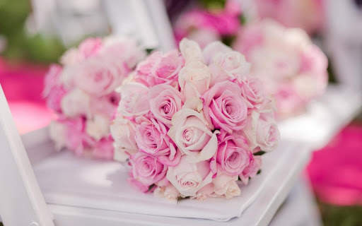 Rosa Live Wallpaper screenshot 12