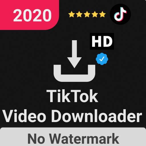Video Downloader App TikTok No Watermark | SkuyTik 1.0