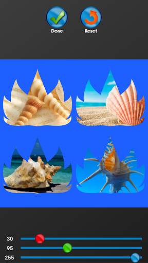 Seashells Photo Collage screenshot 6