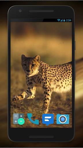 Cheetah Video Live Wallpaper screenshot 4