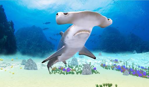 The Hammerhead Shark screenshot 12