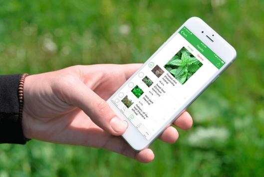 PlantSnap - Plants & Flowers Identification Guide screenshot 3