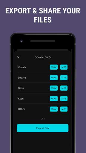 Edit Music: Instrument & Vocal Separator screenshot 4