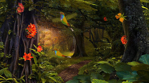 Hummingbirds 3D Live Wallpaper screenshot 7