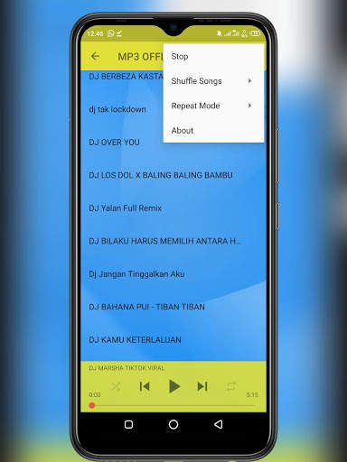 DJ MARSHA TIKTOK VIRAL screenshot 4