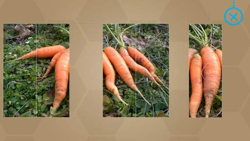 Fruits and Vegetables for Kids - Flashcards Puzzle скриншот 14