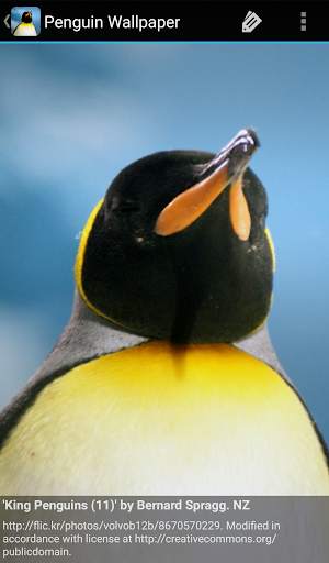 Penguin Wallpaper screenshot 3
