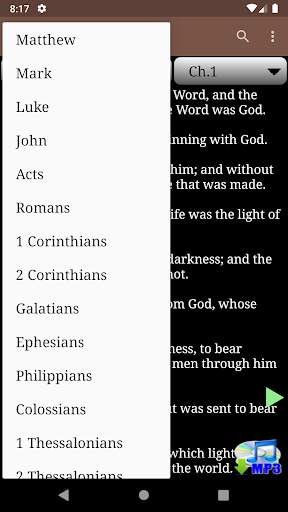 KJV Audio Bible screenshot 9