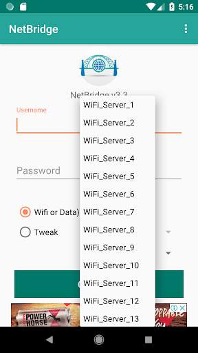 NetBridge VPN 2 تصوير الشاشة