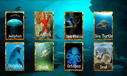 Animal World screenshot 2