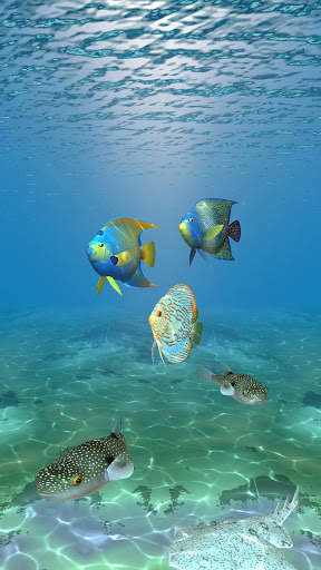 Ocean Fish Under Water Live Wallpaper screenshot 5