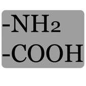 Amino Acids on 9Apps