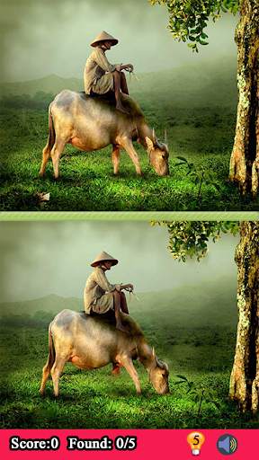 Find 5 Difference Between 2 Picture Game screenshot 5