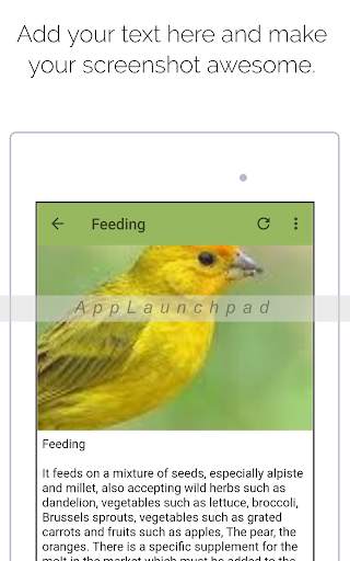 Canary screenshot 5