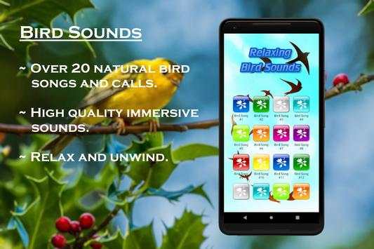 Relaxing Bird Sounds screenshot 1