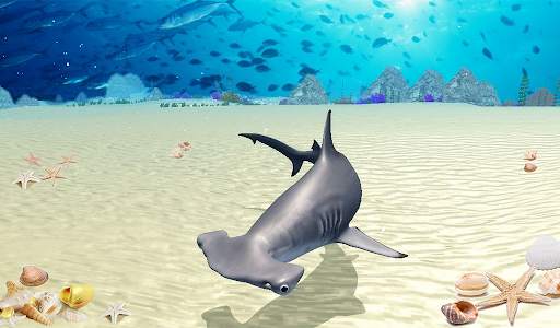 The Hammerhead Shark screenshot 14