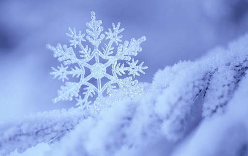 Falling Snow Live Wallpaper (live background) screenshot 6