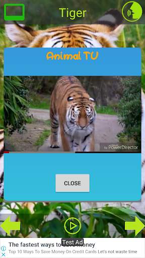 Animal Sounds Pictures screenshot 6
