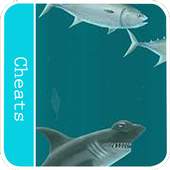 Cheats Hungry Shark Evolution 1.0