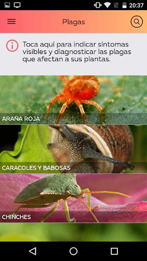 iHuerting Start - Cuida tu Huerto Urbano screenshot 4