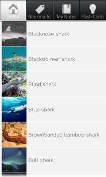 Shark Species: Types of Shark screenshot 1