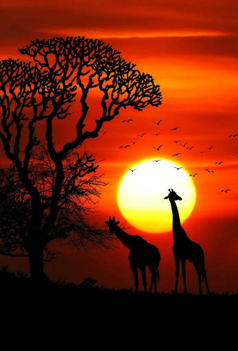 Background - Sun screenshot 1