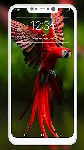 Bird Wallpaper 6 تصوير الشاشة