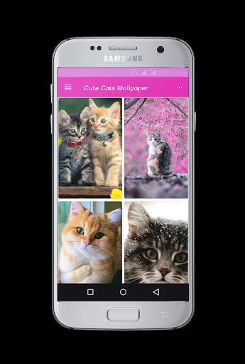 Cute Cats Wallpaper screenshot 5