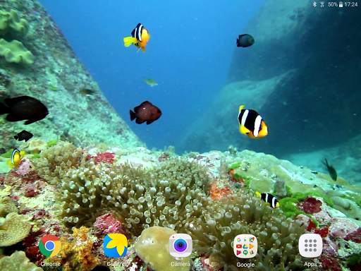 Colorful Fishes Live Wallpaper 10 تصوير الشاشة