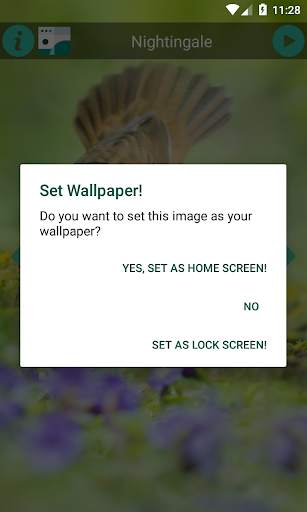 Natural Animal Sounds and HD Wallpaper screenshot 6