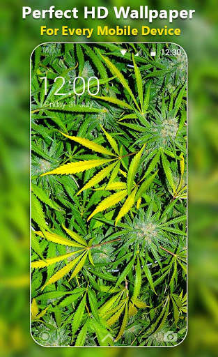Weed Wallpaper screenshot 1