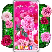 Spring Rose Live Wallpaper on 9Apps