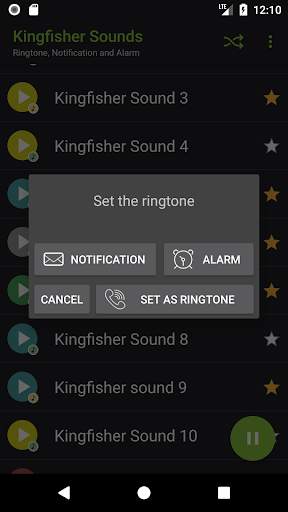 Appp.io - Kingfisher bird sounds screenshot 3